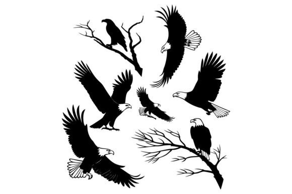Bald Eagle Silhouettes: Freedom & Power