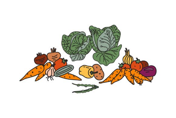 The Art of Botanical Illustration: Bringing Vegetables to Life in Design